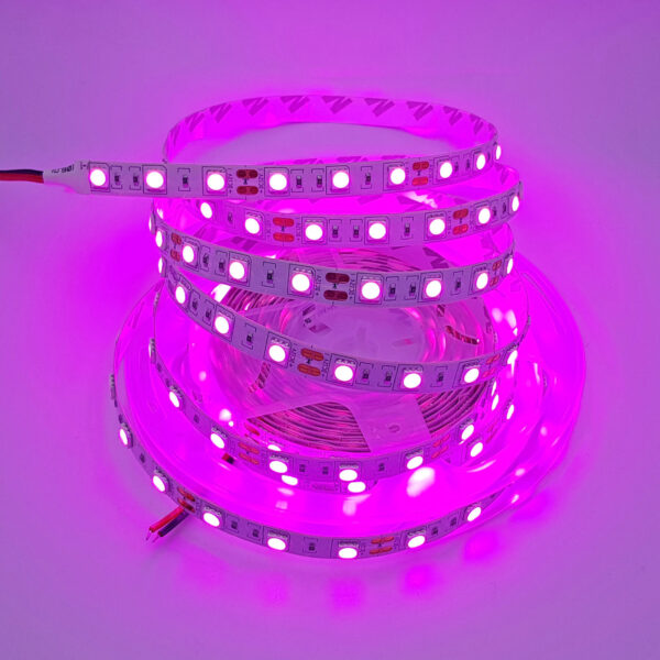 Led dây 5050 12V loại 1 mét 60 bóng không phủ epoxy màu hồng tím