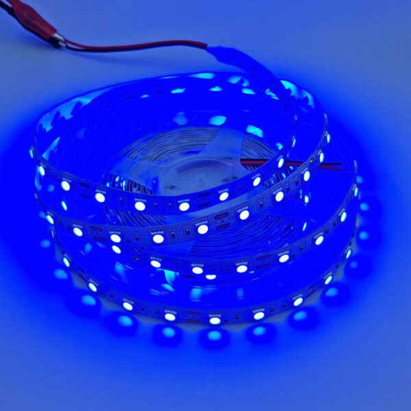 Led dây 5050 12V loại 1 mét 60 bóng không phủ epoxy màu xanh dương